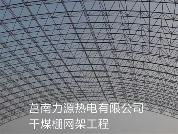 肥城力源热电有限公司干煤棚网架工程